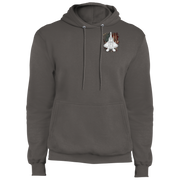 F22 Raptor Distressed USA Flag Hoodie